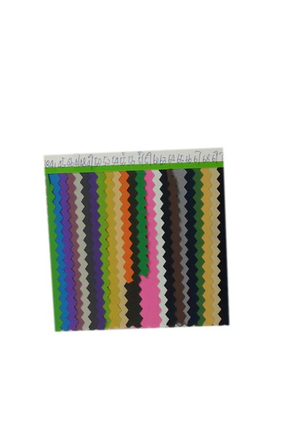 GZ-FGSG  8801#   100％滌綸 300T消光  不反光 低反光布 後面照